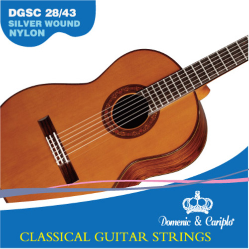 Classical Guitar Strngs